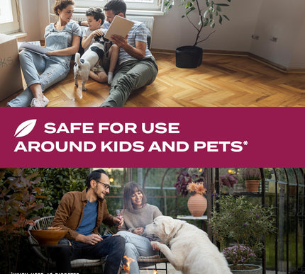 Product Image 3 - STEM Kills Ants Roache