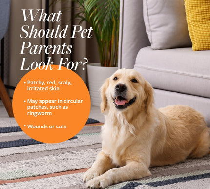 Product Image 5 - Veterinary Formula Cli