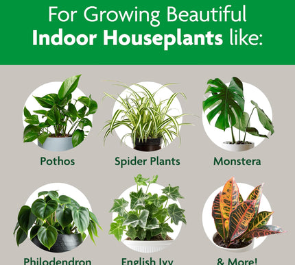 Product Image 4 - MiracleGro Indoor Pott
