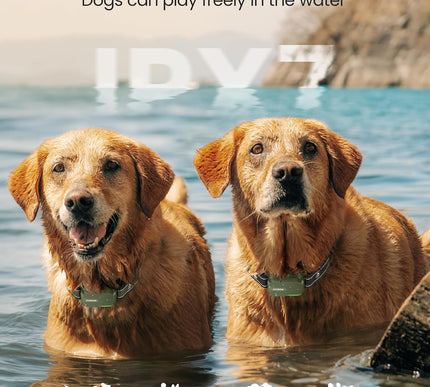 Product Image 4 - Jugbow Dog Shock Colla