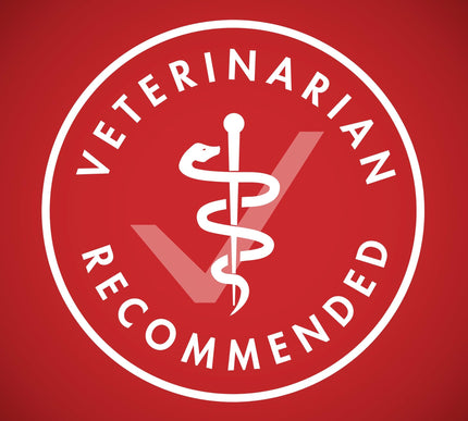 Product Image 8 - Purina ONE Dry Dog Foo