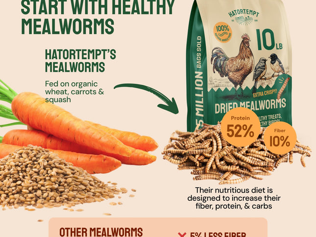 Product Image 2 - Hatortempt Bulk Dried 