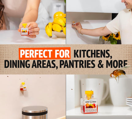 Product Image 7 - Super Ninja Fruit Fly 