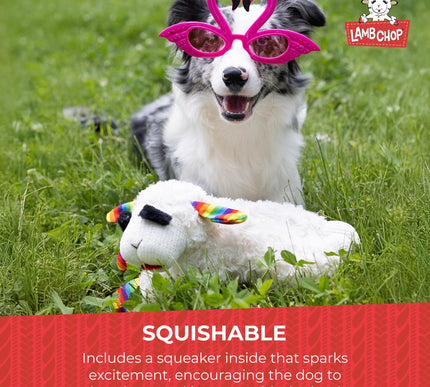 Product Image 4 - Multipet Lamb Chop Dog