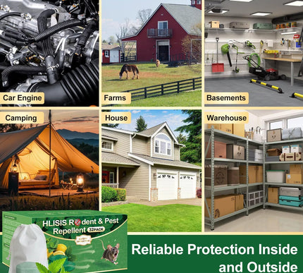 Product Image 7 - 32PCS Mouse Rodent Rep