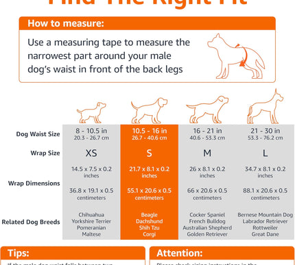 Product Image 4 - Amazon Basics Male Dog