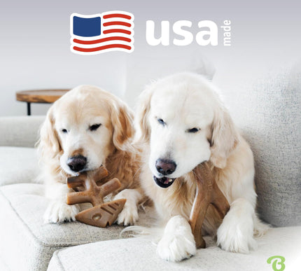 Product Image 5 - Benebone 2-pack Fishbo