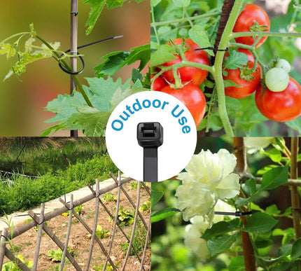 Product Image 6 - Zip Ties 8 inch (100 P