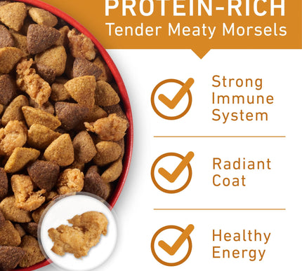 Product Image 2 - Purina ONE Chicken and