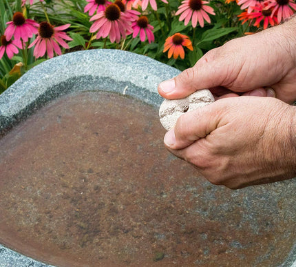 Product Image 4 - Summitresponsible solu