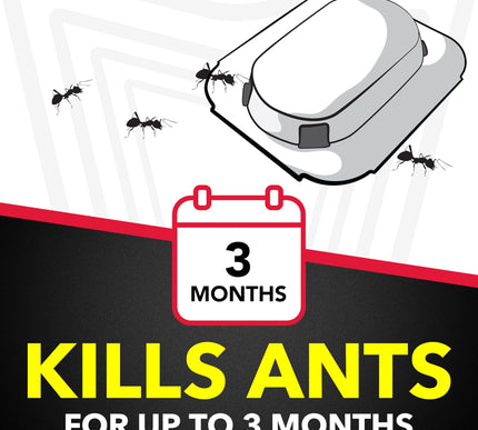 Product Image 2 - Raid Ant Killer Baits 