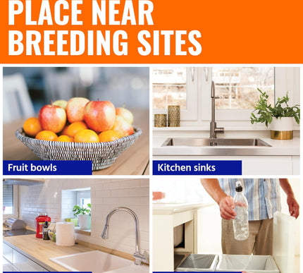 Product Image 6 - TERRO Fruit Fly Traps 