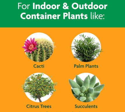 Product Image 4 - MiracleGro Cactus Palm