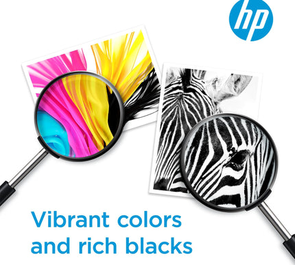 Product Image 4 - HP 910 Black Ink Cartr