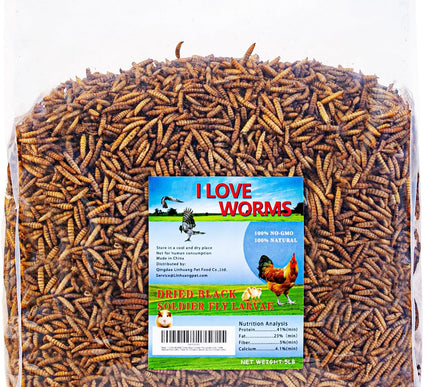 Product Image 1 - I LOVE WORMS Dried Bla