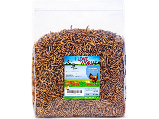 Product Image 1 - I LOVE WORMS Dried Bla