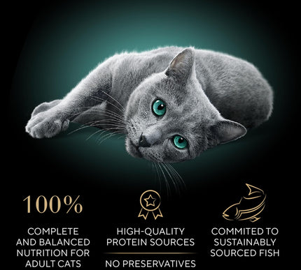 Product Image 5 - Sheba Perfect Portions