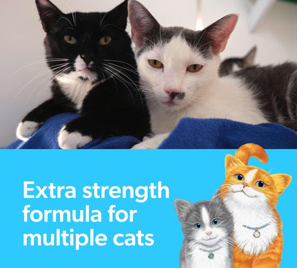 Product Image 3 - Fresh Step Clumping Ca