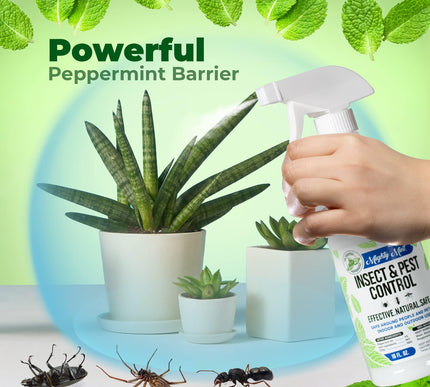 Product Image 2 - Mighty Mint Peppermint