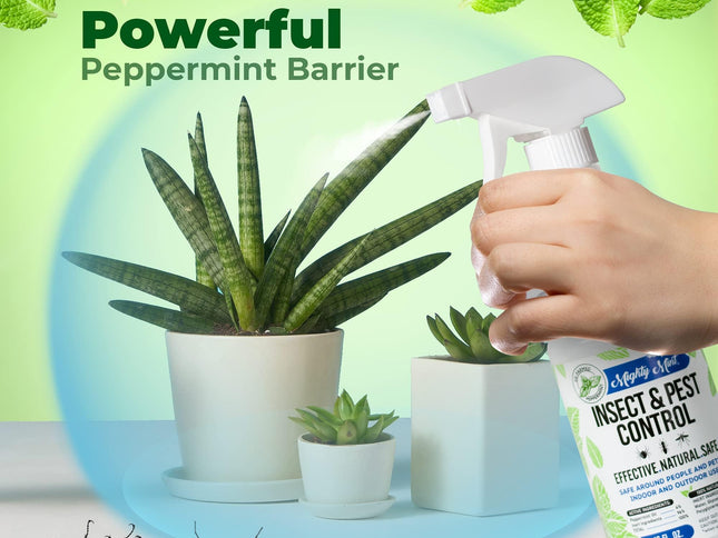Product Image 2 - Mighty Mint Peppermint