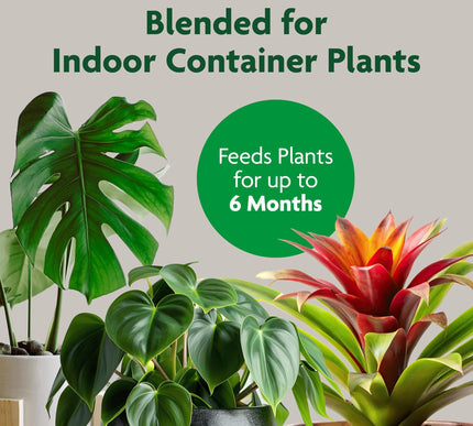 Product Image 3 - MiracleGro Indoor Pott