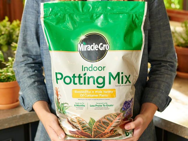 Product Image 2 - MiracleGro Indoor Pott