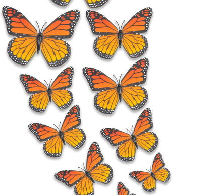 Product Image 1 - Yzurbu 24pcs Monarch B