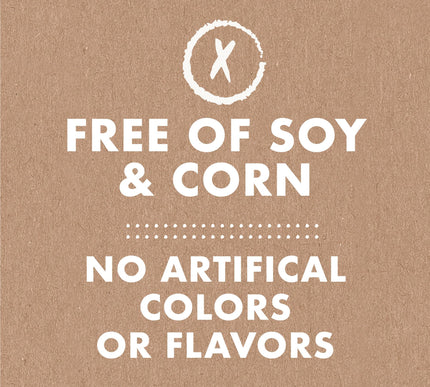 Product Image 8 - Buddy Biscuits Trainer