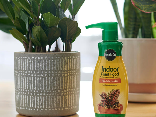 Product Image 2 - MiracleGro Indoor Plan