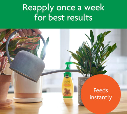 Product Image 6 - MiracleGro Indoor Plan