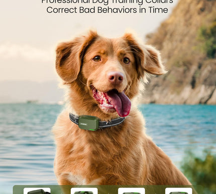 Product Image 2 - Jugbow Dog Shock Colla