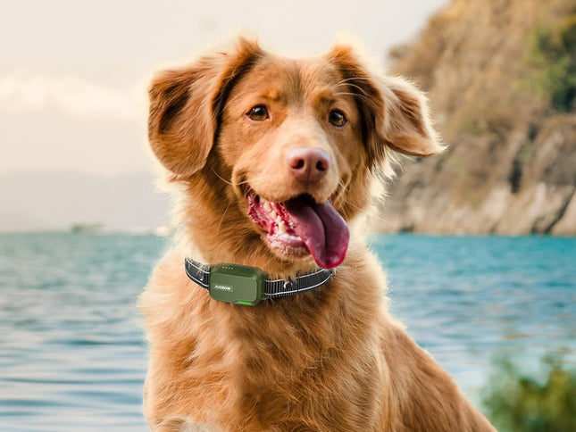 Product Image 2 - Jugbow Dog Shock Colla
