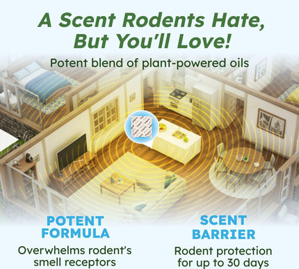 Product Image 3 - BugMD Vamoose Plus Pep