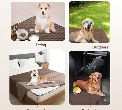 Product Image 4 - gogobunny 100% Double-