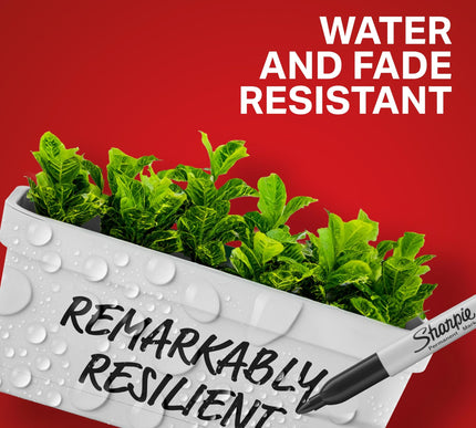 Product Image 5 - Sharpie Permanent Mark