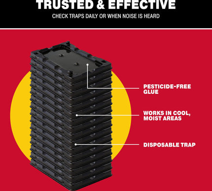 Product Image 5 - Catchmaster Mouse Inse