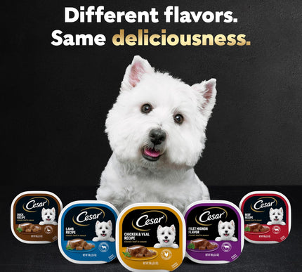 Product Image 8 - Cesar Wet Dog Food Ste