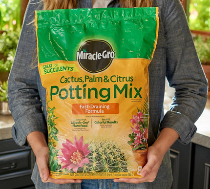 Product Image 2 - MiracleGro Cactus Palm