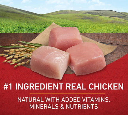 Product Image 3 - Purina ONE Chicken and