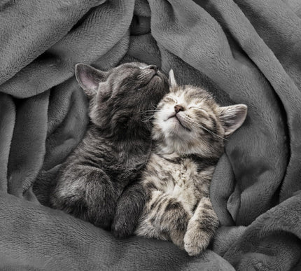 Product Image 4 - Utopia Bedding Fleece 