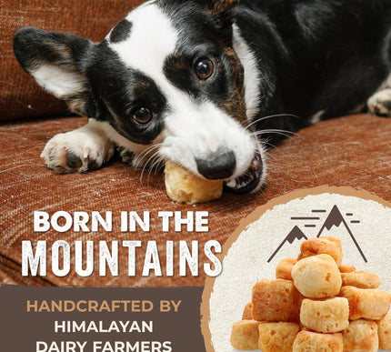 Product Image 4 - Mighty Paw Yak Cheese 