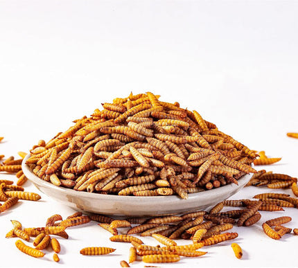 Product Image 4 - I LOVE WORMS Dried Bla