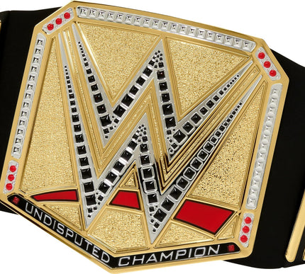Product Image 3 - Mattel WWE Championshi