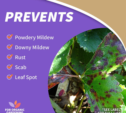 Product Image 5 - Bonide Captain Jacks N