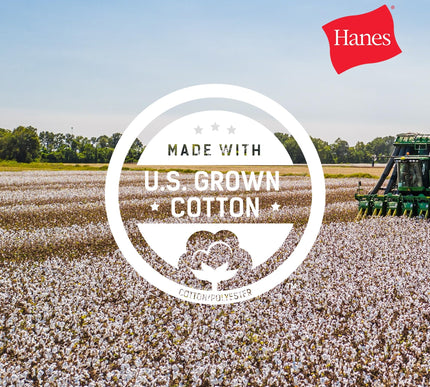 Product Image 7 - Hanes Mens Beefyt Tshi