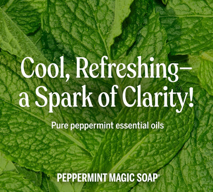 Product Image 6 - Dr Bronners PureCastil