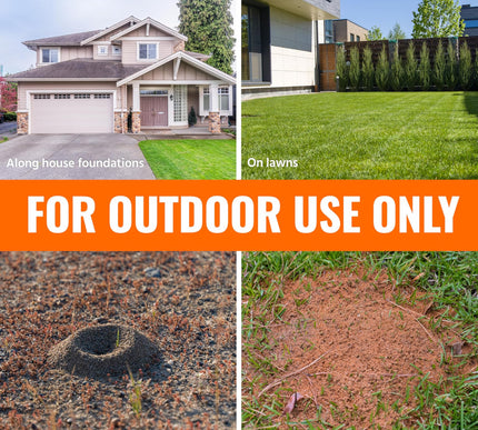 Product Image 6 - TERRO Ant Killer Plus 