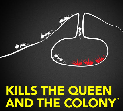 Product Image 3 - Raid Ant Killer Baits 