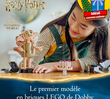 Product Image 3 - LEGO Harry Potter Dobb