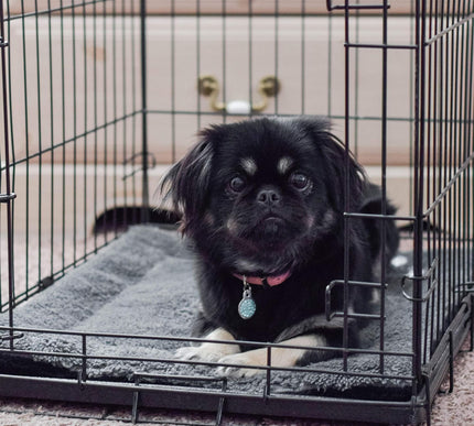 Product Image 6 - K&H PET PRODUCTS Self-